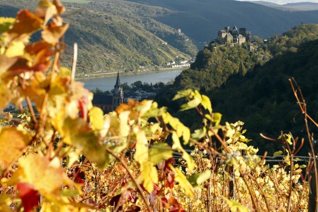 Hotel Gutsschaenke Sennerhof Oberwesel Esterno foto